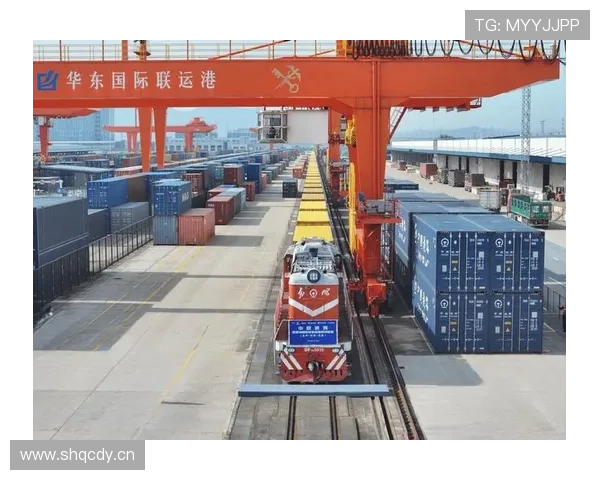 中欧体育网积极推广中欧体育交流合作，促成多项国际体育赛事合作项目