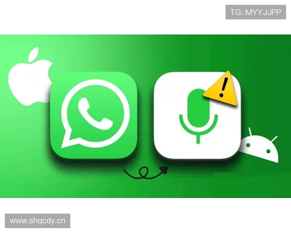 乐竞体育app下载官网优化建议与常见问题解答，帮助用户快速解决使用中遇到的问题