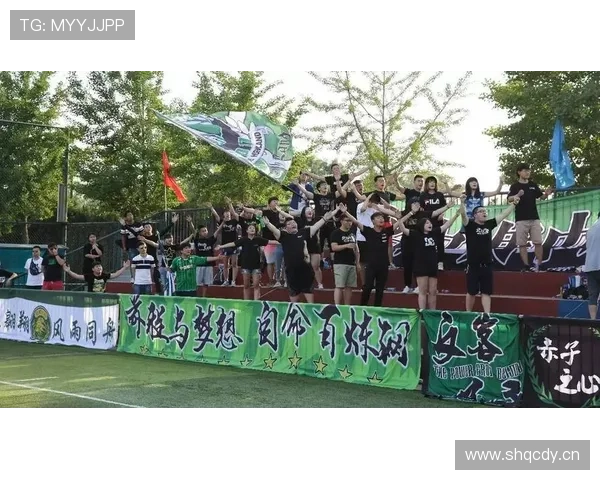 分析利博体育在青少年用户中的推广策略与未来市场潜力